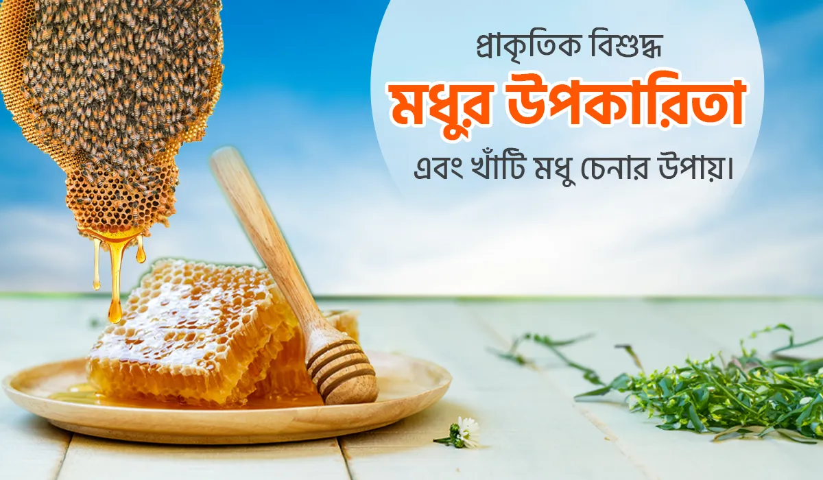 প্রাকৃতিক মহৌষধ মধু: কেন এটি আপনার প্রতিদিনের সঙ্গী হওয়া উচিত?